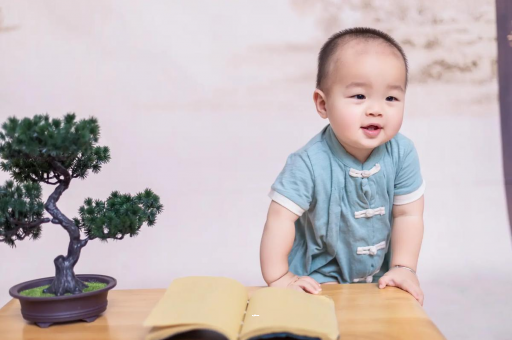 孟津可爱的企鹅宝宝